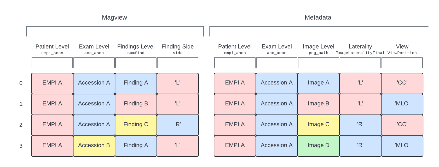 Visual representation of the EMBED data hierarchy in the clinical and metadata tables