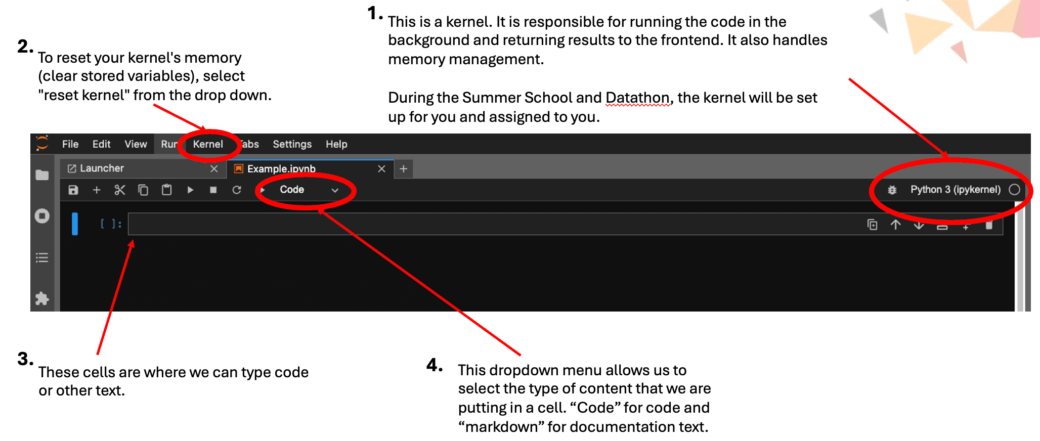 Jupyter notebook interface